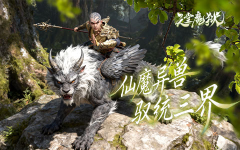 御龙飞行，万剑归宗！